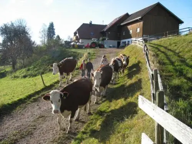 Ferienbauernhof Büchele