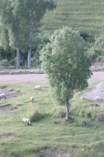 CABAñAS REFUGIOS DE PILLUL - CHILOé