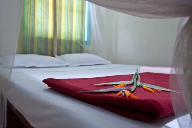 Shiva Mandrem Resort