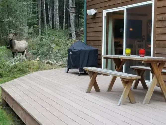 Cozy Studio Apartment