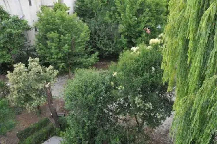 Hotel Lulishte
