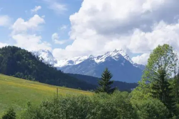 Ferienhütten Brandtner