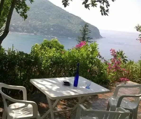 Bella Vista
