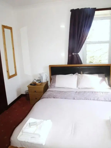 Brown Trout Hotel