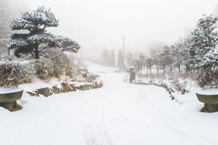 Seosan Pinehealing Pension