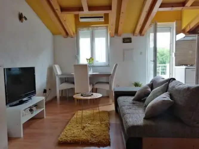 Viva Studio Central Split (Adults Only)