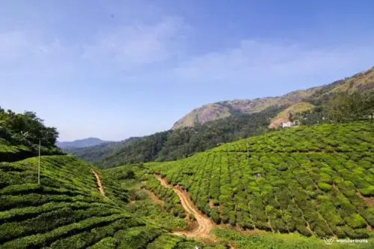 Munnar Homestay