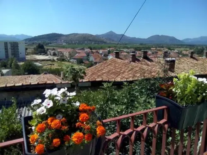 Apartman Carine