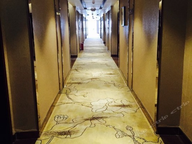 Hotel rooms