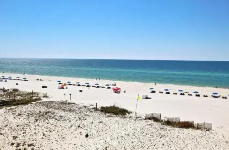 Boardwalk 483