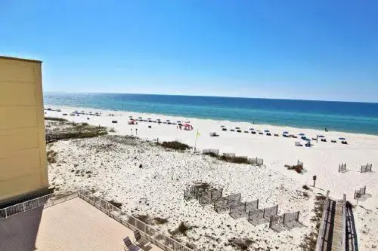 Boardwalk 484