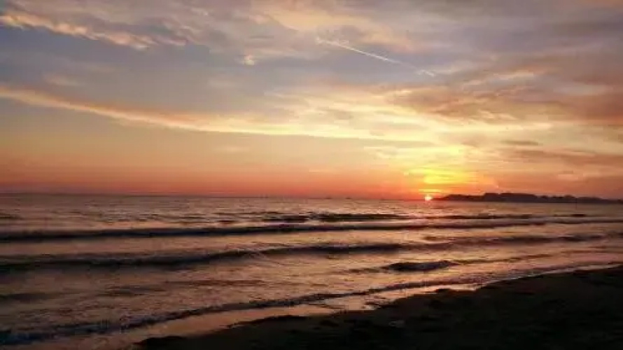 Vila Palma