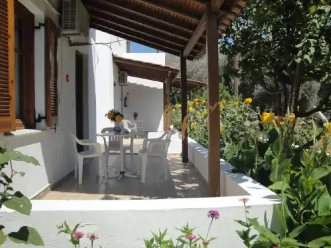 Studios Calvinos