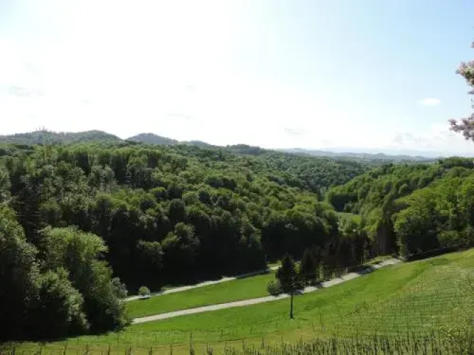 Weingut Gästezimmer Gruber