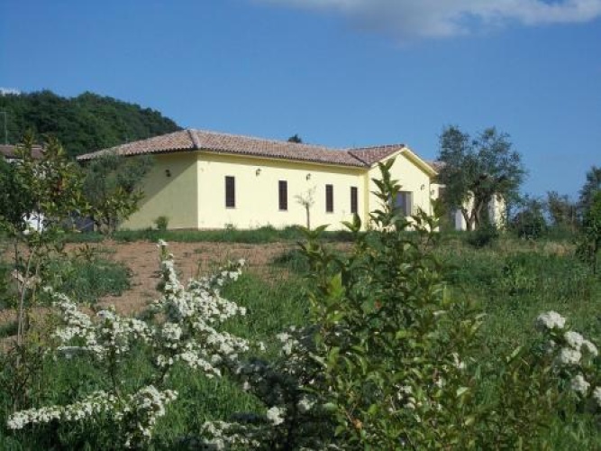 Fior Divino