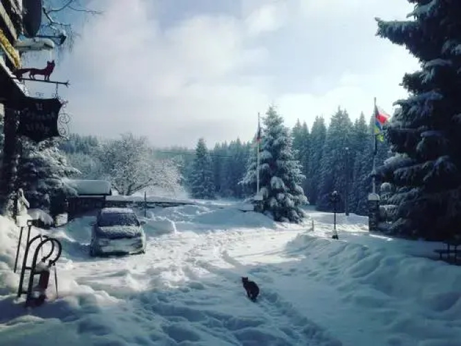 U Červené lišky