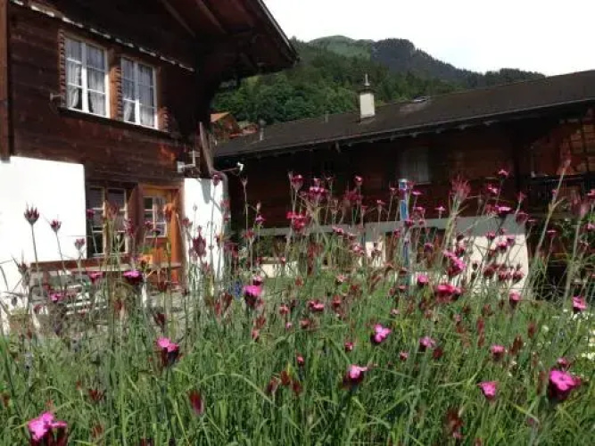Studio Sternen