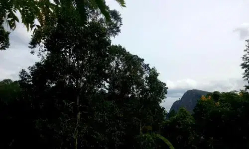 Aroma Heaven Homestay
