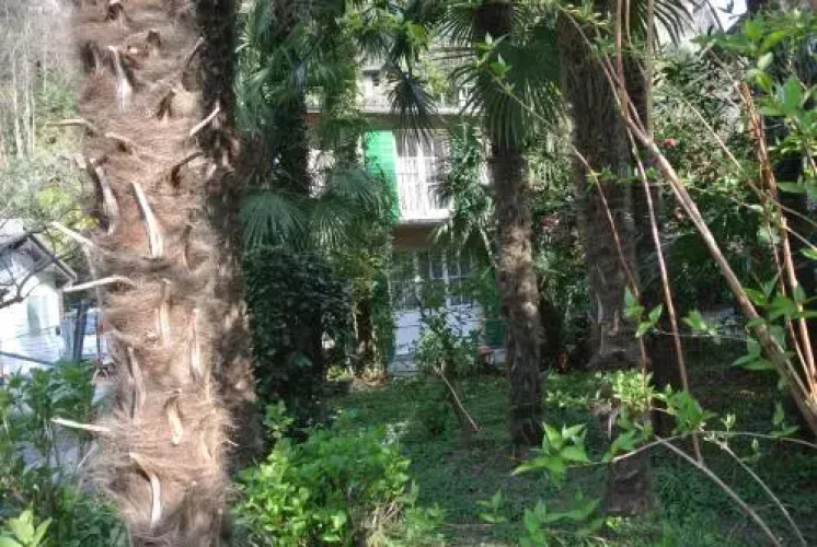 Camere della Nonna