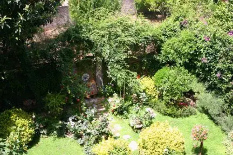Suite Alimuri