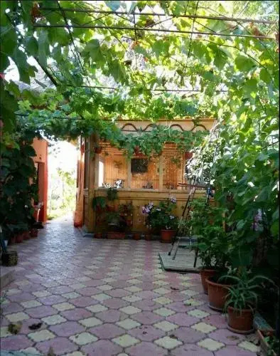 Casa Calin