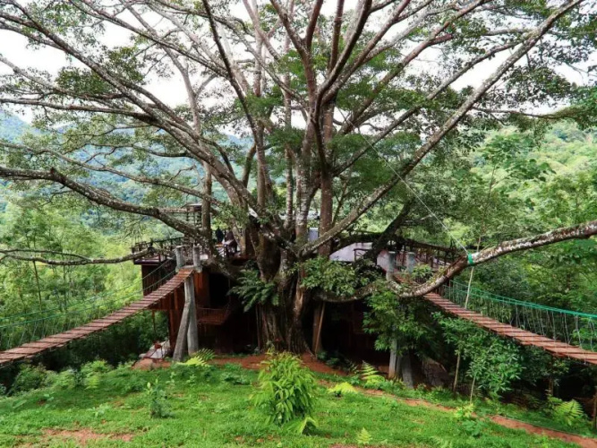 The Giant Chiang Mai Hotel