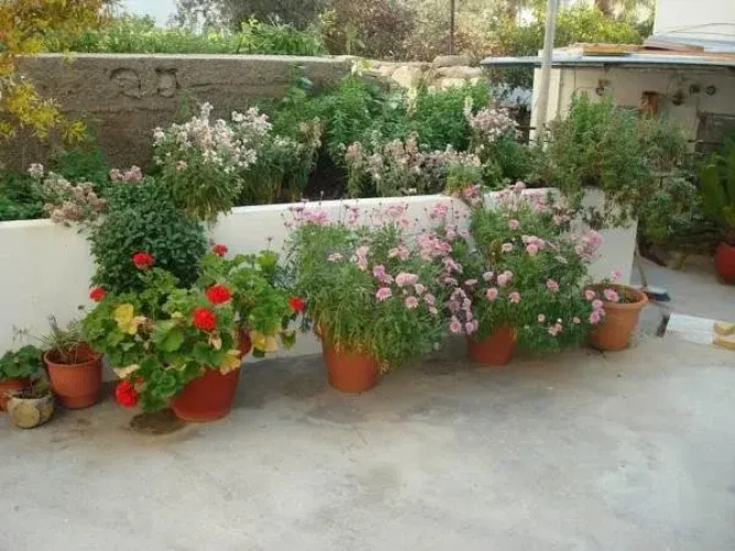 Barbagiannis Studios