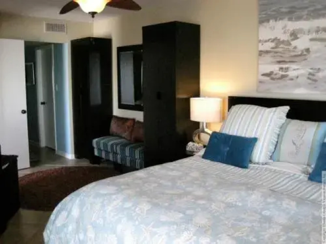 Beach Palms 109