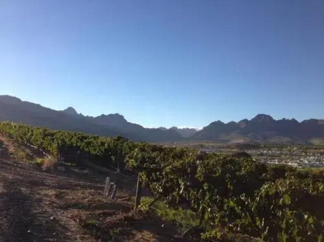 De Zalze Luxury Lodge