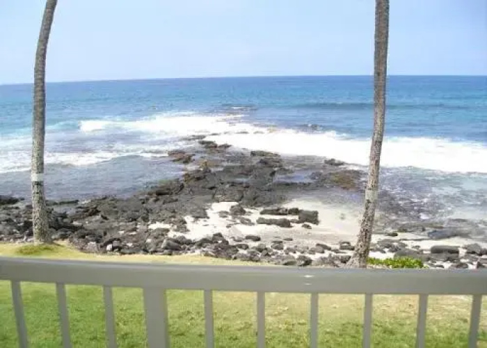 Kona Reef A15