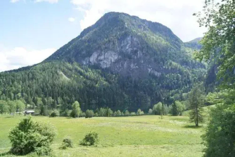 Ferienhütten Brandtner