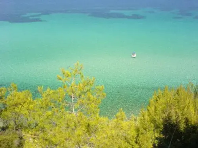 Oliveto