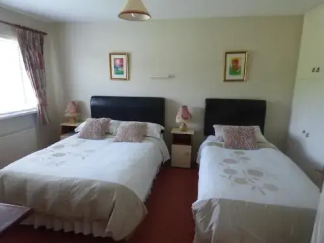 Innisfree B&B