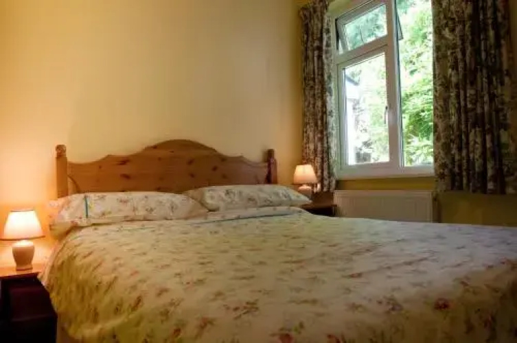 Shamrock House BB
