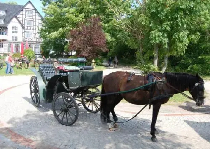 Hotel Enddorn