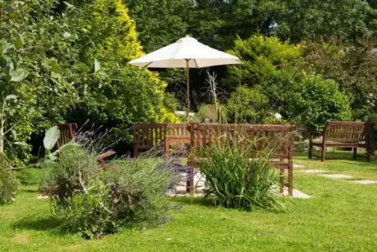 Orchard View