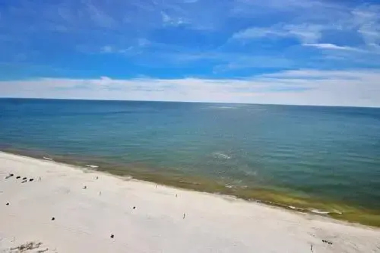 Island Tower 2203