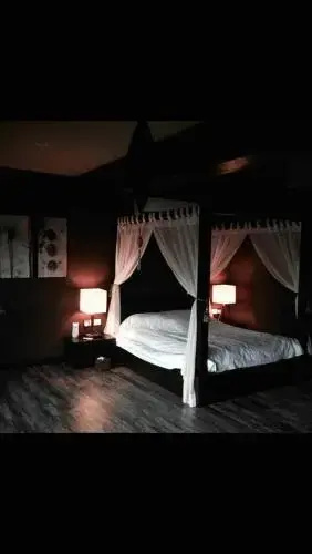 Miracle Suite