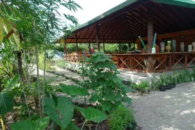 La Jovisena
