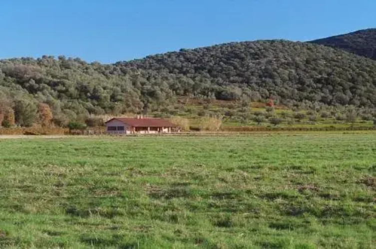 Agriturismo Le Giunchiglie