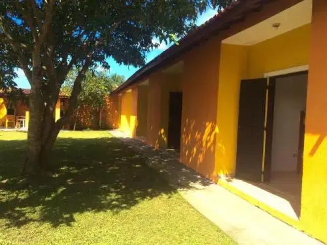 Flat Amarelinho
