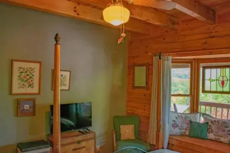 Lil Cabin In The Woods - 3 Br Cabin