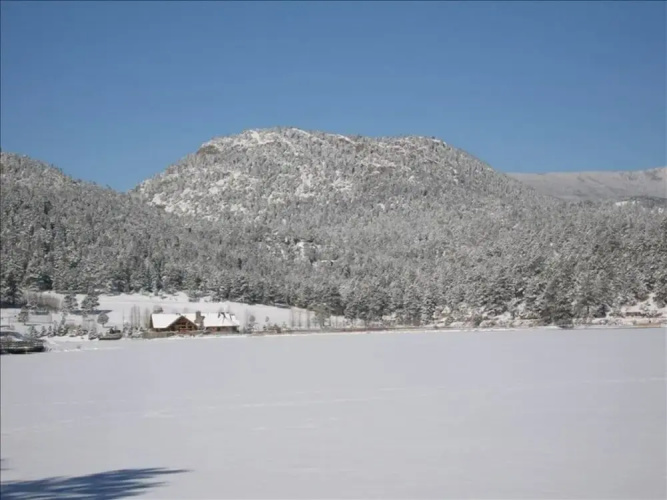 The Writers Nest