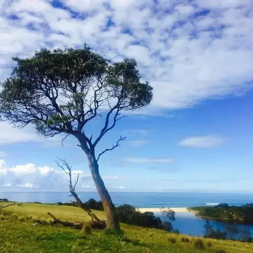 Tilba Lake Camp - Glamping