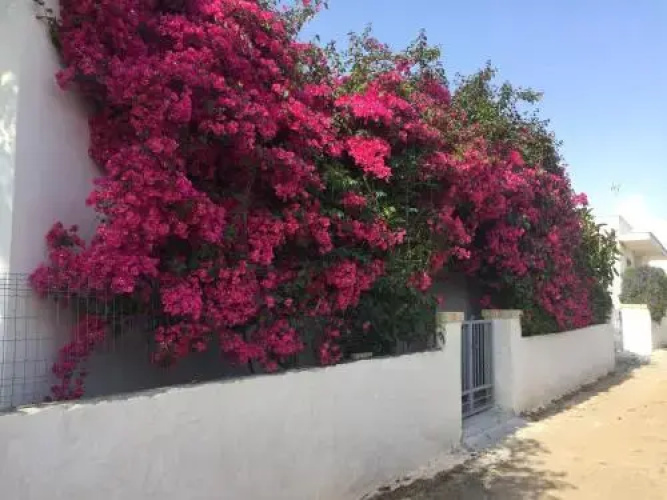 Alba e Tramonto Bed Breakfast