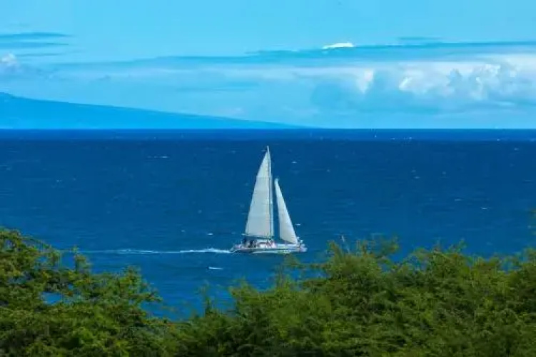 Maui Kamaole #G-210