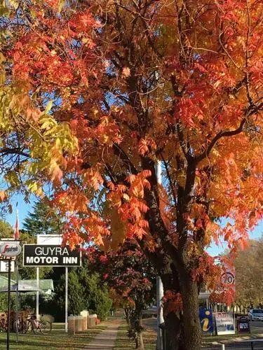 Guyra Motor Inn