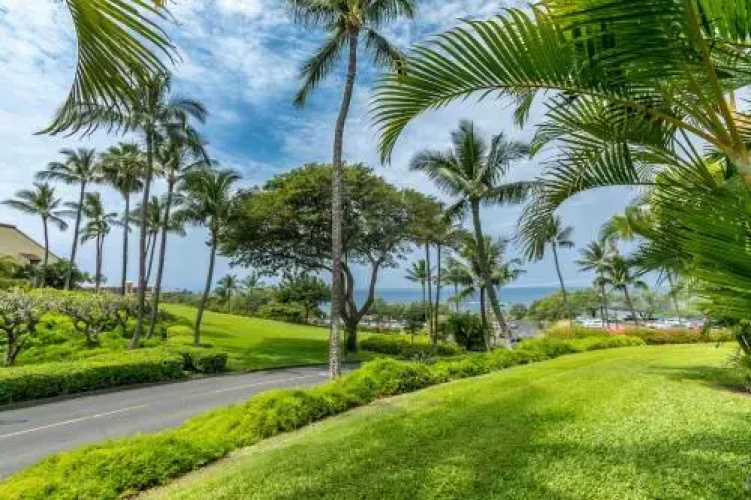 Maui Kamaole #G-101