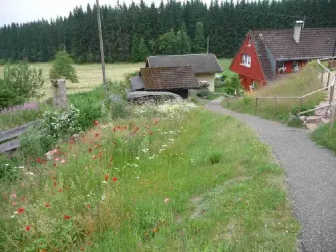 Ferienhaus-Elfi