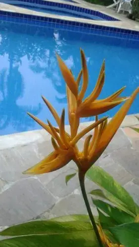 Pousada Amor e Poesia